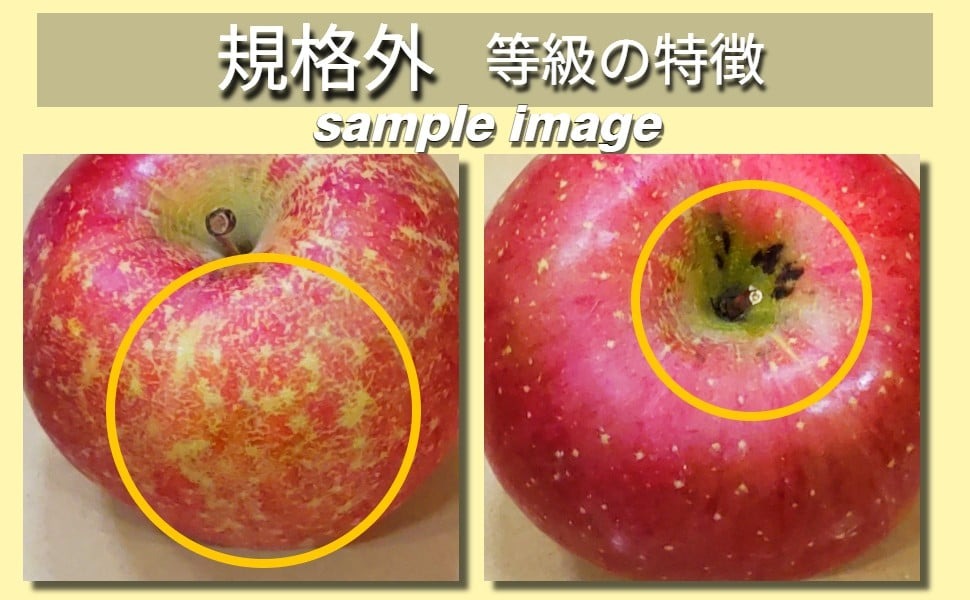 【ふるさと納税】【選べる配送時期】 りんご サンふじ 規格外 （選べる 2kg / 5kg 10kg ） 年内配送 年内発送 訳あり 家庭用 不揃い ふじ サン フジ フルーツ 旬 青森県 11月 12月 1月 2月 3月 青森県 五所川原市 サムネイル3