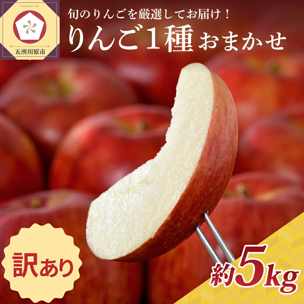 りんご 【 訳あり 】 5kg 1品種おまかせ ( 配送時期が選べる 10月～3月 )/ 不揃い 規格外 傷 果物 くだもの フルーツ 林檎 アップル リンゴ 秋 旬 常温保存 10月 11月 12月 1月 2月 3月 青森県 五所川原市