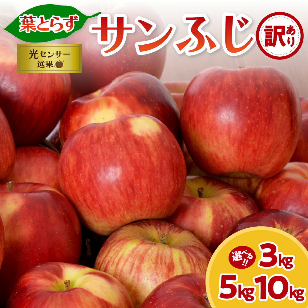 ★レビュー高評価★【 訳あり 】 葉とらず サンふじ ( 内容量が選べる 3kg 5kg 10kg / 配送時期が選べる 11月 ～ 3月 ) 先行予約 りんご 年内配送 年内発送 規格外 不揃い 傷 家庭用 林檎 ふじ 果物 フルーツ 秋 旬 リンゴ 常温 青森県 五所川原市