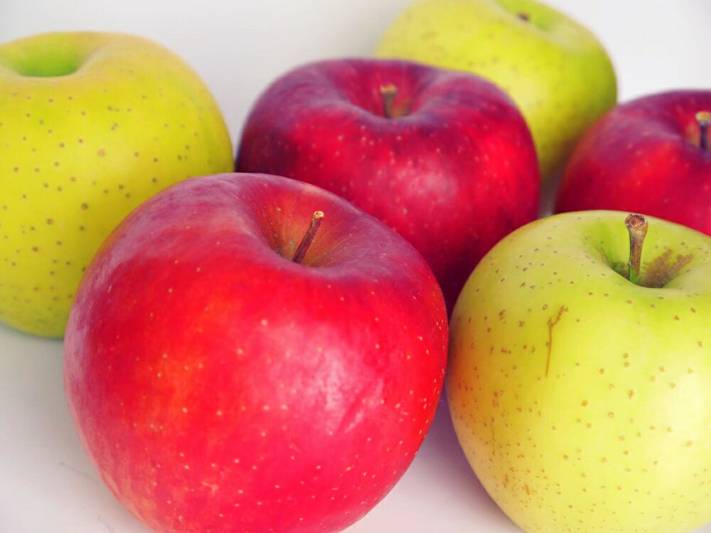 【ふるさと納税】★レビュー高評価★【 訳あり 】 りんご 2品種おまかせ 10kg ( 配送時期が選べる 10月～3月 )/ リンゴ 林檎 アップル 規格外 不揃い 傷 フルーツ 果物 くだもの 秋 旬 10月 11月 12月 1月 2月 3月 青森県 五所川原市 サムネイル3