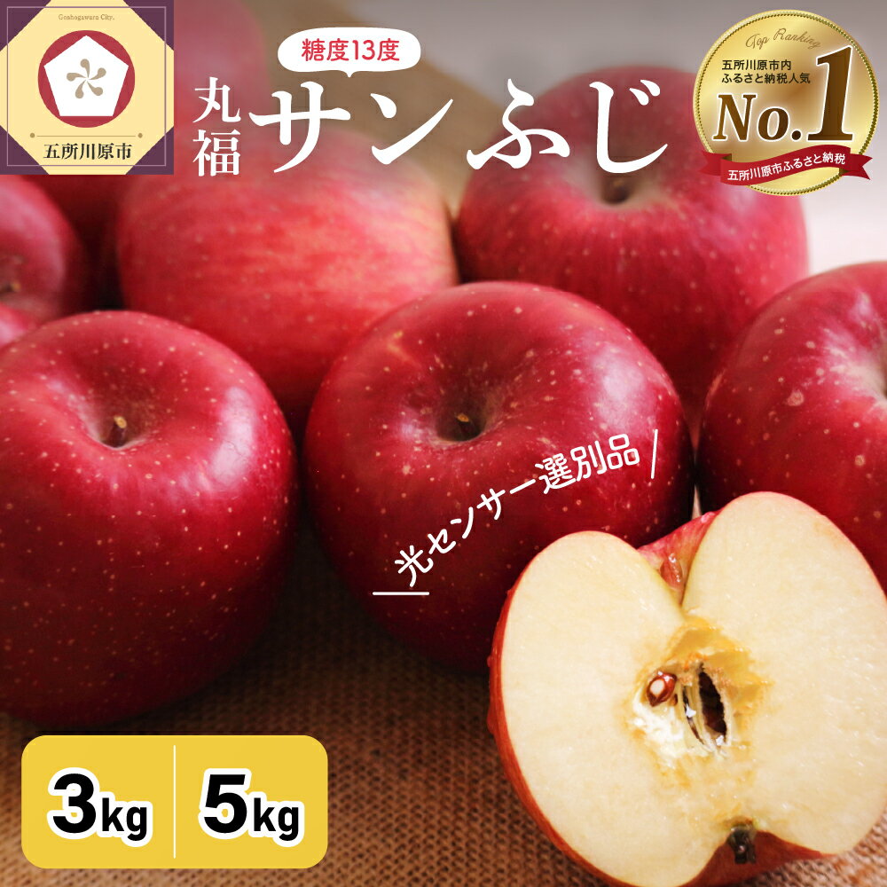 ★レビュー高評価 ★ サンふじ 丸福 ( 内容量が選べる : 3kg 5kg / 配送時期が選べる : 11月～3月 ) りんご 無袋 光センサー 選果 糖度 13度以上 先行予約 秋 旬 フルーツ 常温保存 年内発送 年内配送 11月 12月 1月 2月 3月 青森県 五所川原市