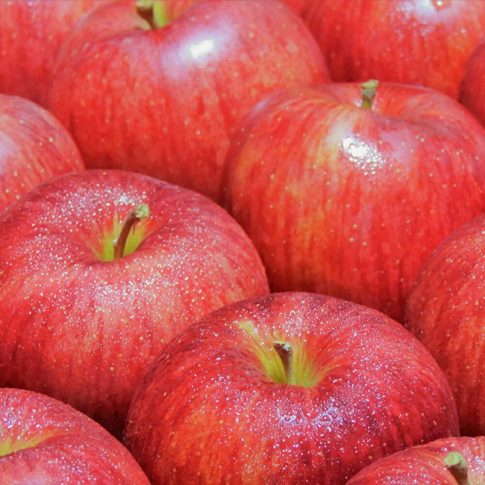 【ふるさと納税】《特選～特秀》 りんご 2品種おまかせ 5kg ( 配送時期が選べる 10月～1月)/ 林檎 リンゴ アップル 常温保存 贈り物 ギフト 贈答 秋 旬 果物 くだもの フルーツ 10月 11月 12月 1月 青森県 五所川原市 サムネイル2