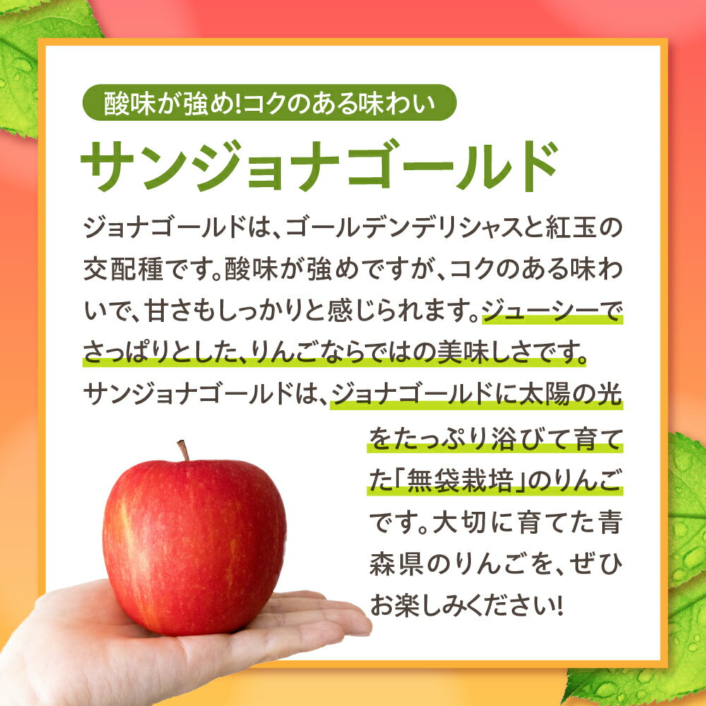 【ふるさと納税】りんご【 訳あり 】 サンジョナゴールド 3kg 5kg 10kg ( 配送時期が選べる 10月～3月)/ リンゴ 林檎 アップル フルーツ 不揃い 規格外 傷 家庭用 秋 旬 常温保存 10月 11月 12月 1月 2月 3月 青森県 五所川原市 サムネイル3