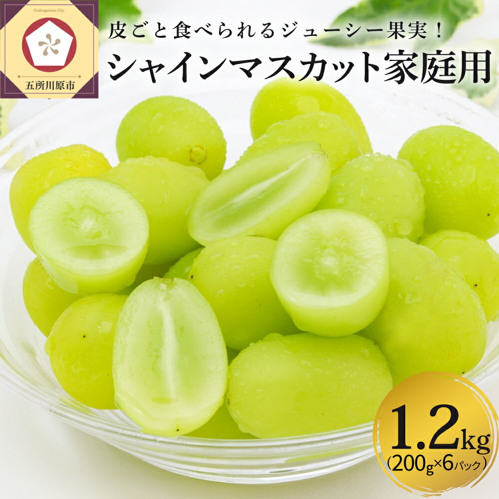 《 先行予約 》★5.0 レビュー高評価★ 青森産 シャインマスカット カップ入 約1.2kg (200g×6カップ) 家庭用 《2025年12月上旬発送》 年内配送 | ぶどう 葡萄 小分け 冬 旬 送料無料 フルーツ 果物 くだもの 青森県 五所川原市