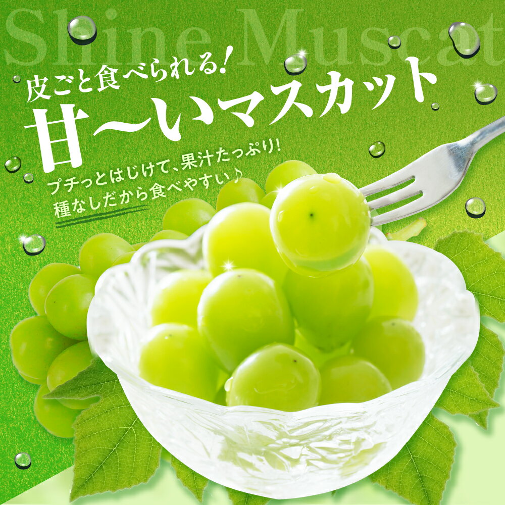 【ふるさと納税】《 先行予約 》★5.0 レビュー高評価★ 青森産 シャインマスカット カップ入 約1.2kg (200g×6カップ) 家庭用 《2025年12月上旬発送》 年内配送 | ぶどう 葡萄 小分け 冬 旬 送料無料 フルーツ 果物 くだもの 青森県 五所川原市 サムネイル3