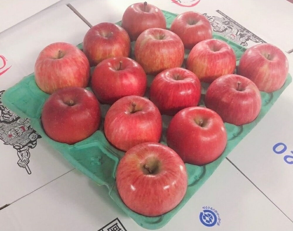 【ふるさと納税】【楽天限定】 りんご 《 先行予約 》 サンふじ 約 3kg 特選　樹上完熟 ( 配送時期が選べる 12月 上旬/中旬/下旬) / 林檎 アップル 贈答 秋 旬 果物 くだもの フルーツ 5キロ 贈り物 ギフト 年内配送 年内発送 青森県 五所川原市 サムネイル2