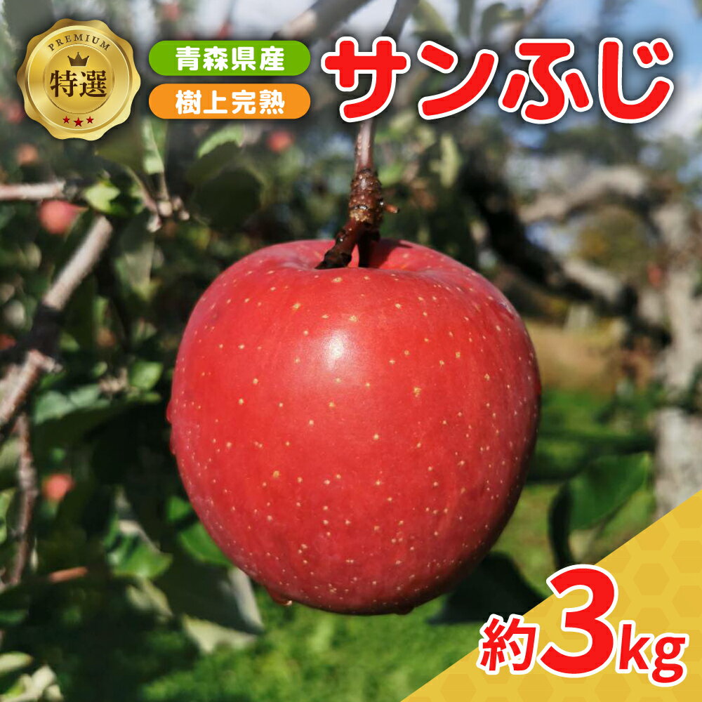 【楽天限定】 りんご 《 先行予約 》 サンふじ 約 3kg 特選　樹上完熟 ( 配送時期が選べる 12月 上旬/中旬/下旬) / 林檎 アップル 贈答 秋 旬 果物 くだもの フルーツ 5キロ 贈り物 ギフト 年内配送 年内発送 青森県 五所川原市