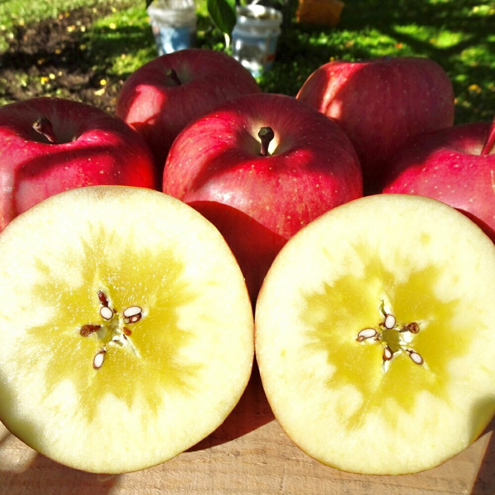 【ふるさと納税】《 先行予約 》【 訳あり 】 サンふじ 5kg ( 配送時期が選べる 12月 1月) / 不揃い 規格外 りんご 林檎 アップル 常温保存 秋 旬 果物 くだもの フルーツ 国産 常温保存 青森県 五所川原市 サムネイル3