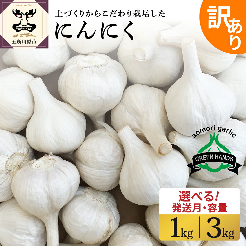 【先行受付】＼★4.94 レビュー高評価 ／ にんにく 【 訳あり 】 青森県産 ( 内容量が選べる : 1kg 3kg /発送時期が選べる )/ ニンニク 野菜 薬味 ホワイト6片種 濃厚 食品 食材 自宅用 家庭用 ストック 長期保存 常温保存 青森県 五所川原市