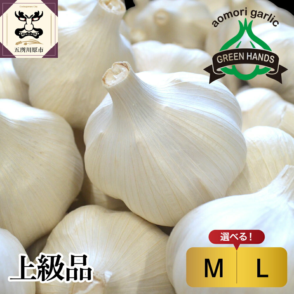 上級品 にんにく 青森県産 ( サイズが選べる : M L ) / ホワイト6片種 五所川原 高品質 大蒜 ニンニク ガーリック 国産 薬味 スタミナ 野菜 上級 贈答 にんにく 醤油漬けにも♪ 10000 青森県 五所川原市