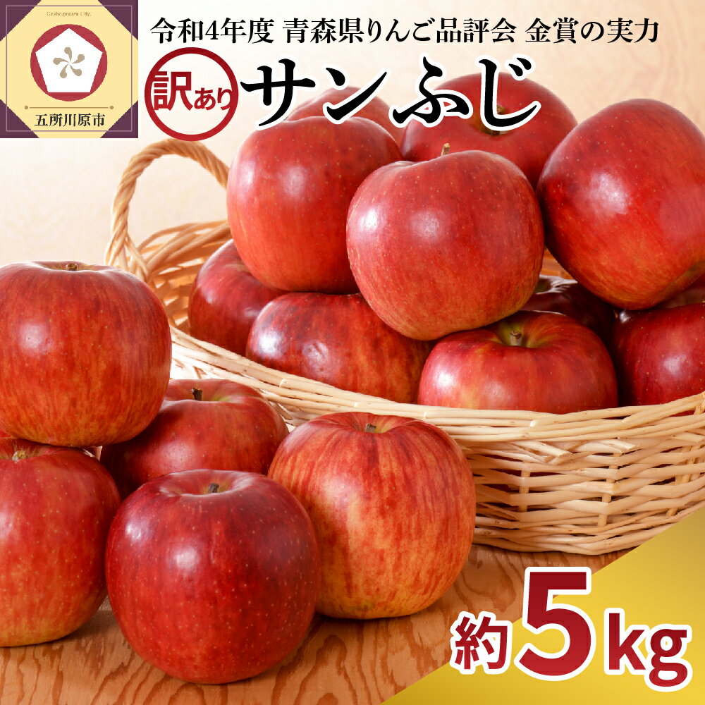 りんご 訳あり サンふじ 約 5kg ( 配送時期が選べる 12月～2月 ) / 青森産 りんご フルーツ 果物 不揃い 規格外 家庭用 林檎 アップル 果物 くだもの 青森 五所川原 リンゴ さんふじ サンフジ 青森りんご 12月 1月 2月 14,000 赤いりんご