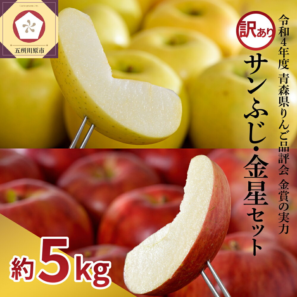 《 先行予約 》【 訳あり 】 サンふじ 金星セット 約5kg ( 配送時期が選べる 12月～2月 ) / 青森産 りんご フルーツ 果物 不揃い 規格外 林檎 アップル 常温保存 秋 旬 果物 くだもの 青森県 五所川原市