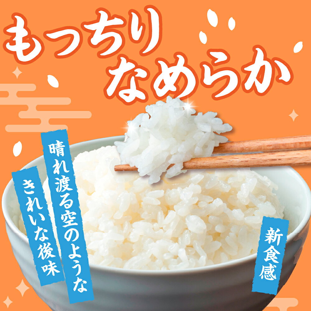 【ふるさと納税】 米 令和7年産 はれわたり 5kg 10kg 特A 取得歴有 特別栽培米 精米 青森県産米 五所川原米 お米 白米 ブランド米 ご飯 常温保存 先行受付 令和7年 送料無料 晴れ渡り 晴れわたり 青森県 五所川原市 - 画像3