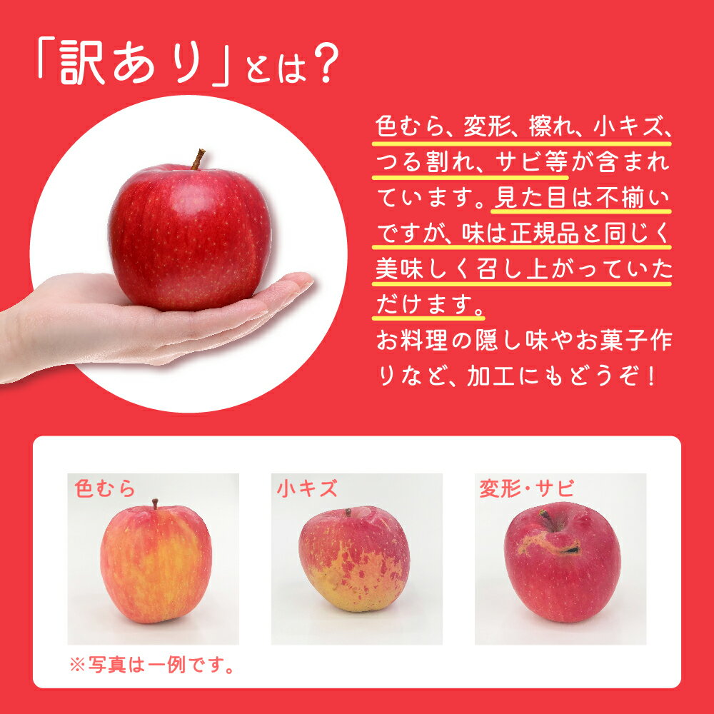 【ふるさと納税】【 訳あり 】 サンふじ 3kg 5kg 10kg ( 配送時期が選べる 12月 1月) / 青森産 りんご 林檎 アップル 不揃い 規格外 家庭用 常温保存 秋 旬 果物 くだもの フルーツ 国産 青森県 五所川原市 サムネイル3