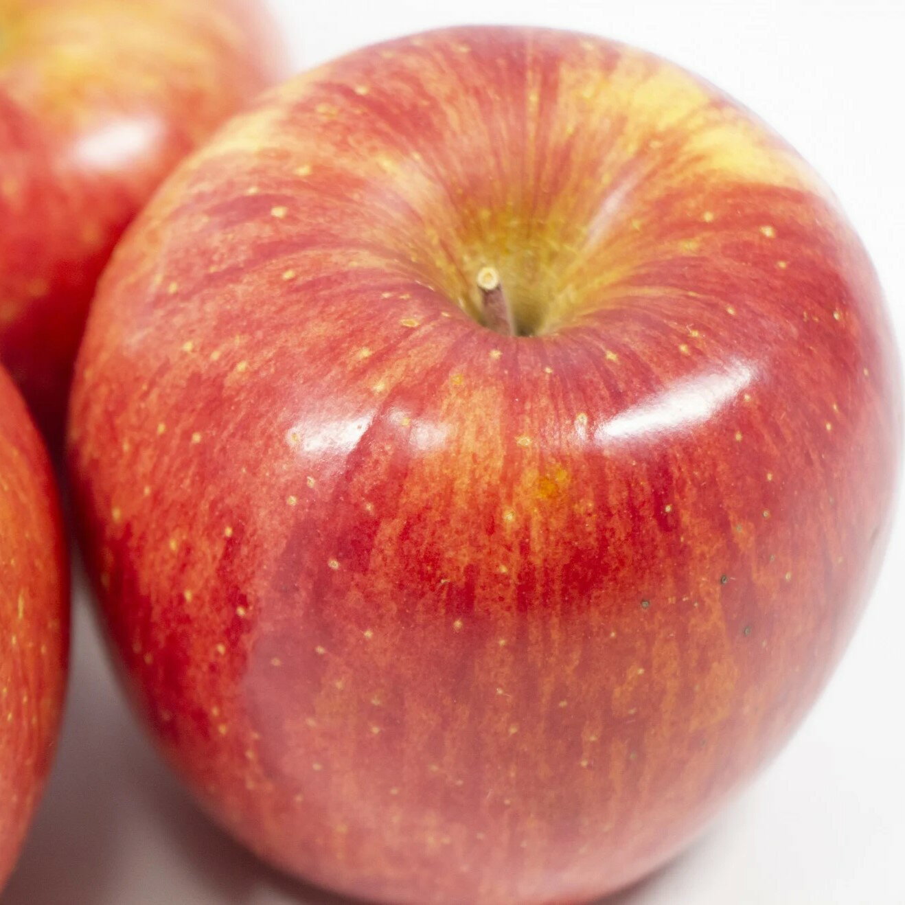 【ふるさと納税】【 家庭用 】 葉とらずりんご サンふじ ( 内容量が選べる 3kg / 5kg ) ( 配送時期が選べる 11月 12月 ) / 青森産 りんご 傷 サンふじりんご リンゴ ジュース お菓子作り くだもの フルーツ 果物 林檎 送料無料 青森県 五所川原市 サムネイル3