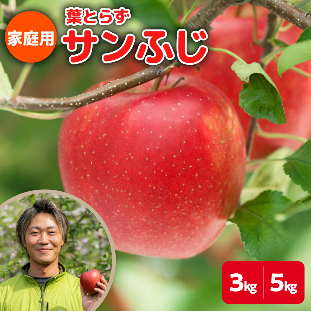 【 家庭用 】 葉とらずりんご サンふじ ( 内容量が選べる 3kg / 5kg ) ( 配送時期が選べる 11月 12月 ) / 青森産 りんご 傷 サンふじりんご リンゴ ジュース お菓子作り くだもの フルーツ 果物 林檎 送料無料 青森県 五所川原市