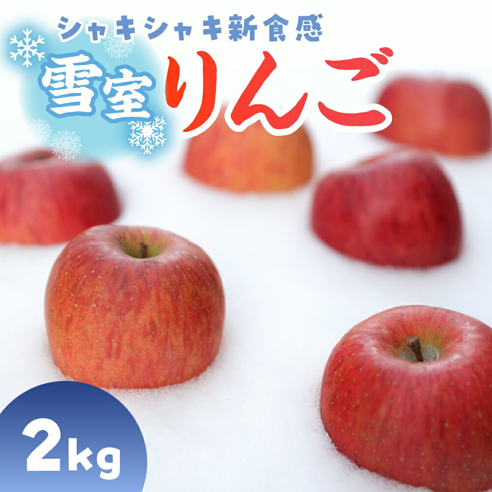 雪室りんご サンふじ 2kg 程度 (5～6個程度)【2026年3月上旬〜下旬 順次発送】 冷蔵便 お取り寄せ 果物 フルーツ くだもの リンゴ 林檎 デザート 東北 青森 2キロ ふるさと納税 りんご 一人暮らし 夫婦 五所川原市