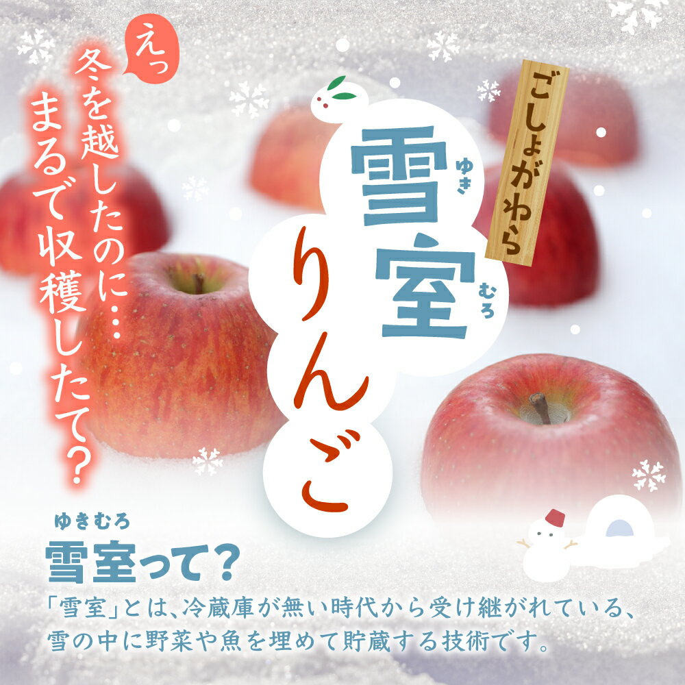 【ふるさと納税】雪室りんご サンふじ 2kg 程度 (5～6個程度)【2026年3月上旬〜下旬 順次発送】 冷蔵便 お取り寄せ 果物 フルーツ くだもの リンゴ 林檎 デザート 東北 青森 2キロ ふるさと納税 りんご 一人暮らし 夫婦 五所川原市 サムネイル3
