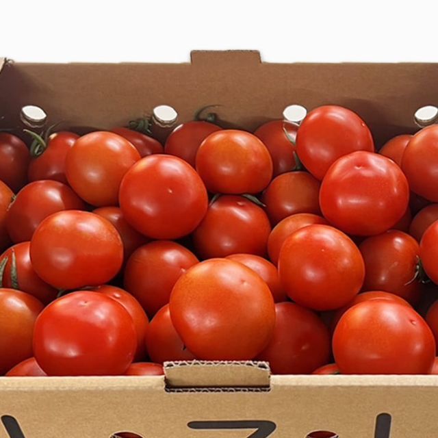 むつ市産　寅福菜園のサステナブルトマト　4kg　トマト