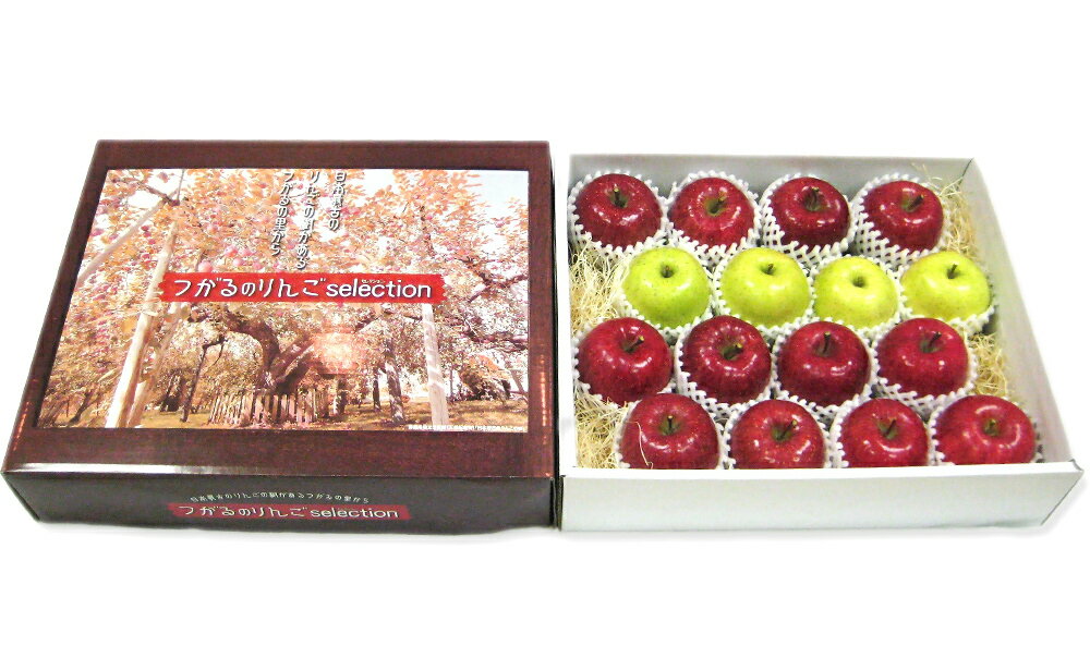 [贈答用] 糖度14度以上 つがる りんご セレクション 1箱 (14玉から16玉)【数量限定】｜青森産 つがる 津軽 リンゴ 林檎 果物 フルーツ サンフジ セレクト 厳選りんご 2025年 令和7年 [0722]