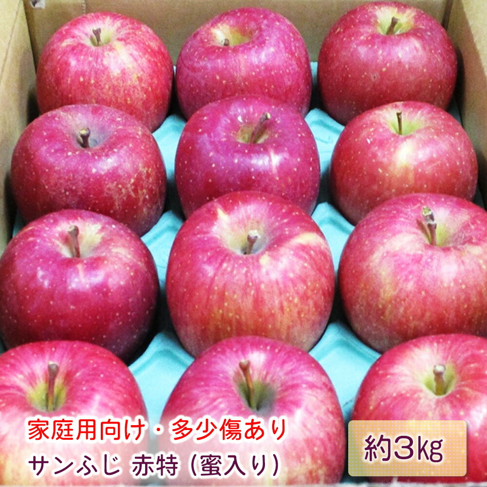 [家庭用向け・多少傷あり] サンふじ りんご 赤特(蜜入り) 約3kg(12玉)｜青森産 つがる 津軽 リンゴ 林檎 果物 フルーツ サンフジ 2025年 令和7年 [0717]