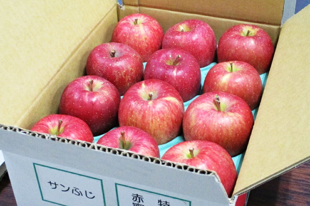 【ふるさと納税】[家庭用向け・多少傷あり] サンふじ りんご 赤特(蜜入り) 約3kg(12玉)｜青森産 つがる 津軽 リンゴ 林檎 果物 フルーツ サンフジ 2025年 令和7年 [0717] サムネイル2