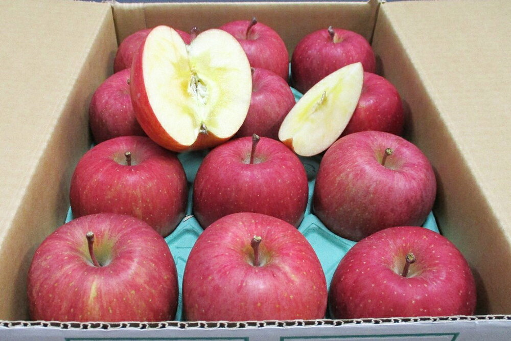 【ふるさと納税】[贈答向け・傷少なめ] サンふじ りんご 特A(蜜入り) 約3kg(12玉)｜青森産 つがる 津軽 リンゴ 林檎 果物 フルーツ サンフジ 2025年 令和7年 [0719] サムネイル2