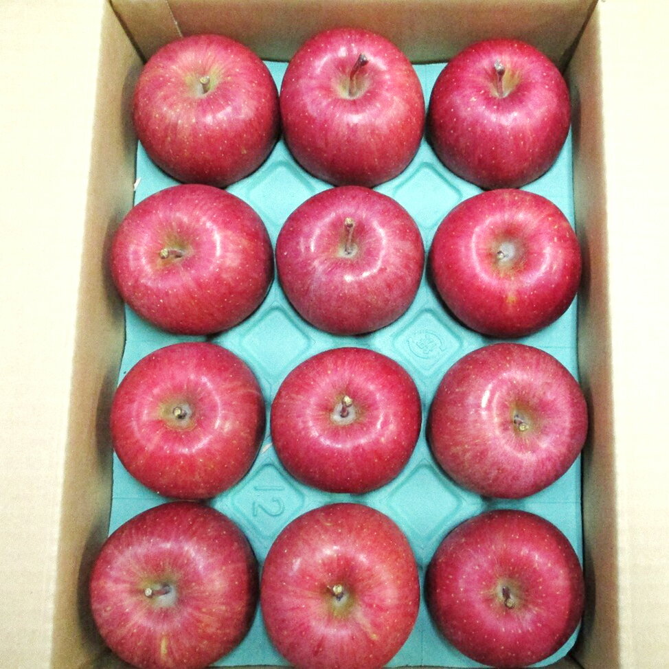 【ふるさと納税】[贈答向け・傷少なめ] サンふじ りんご 特A(蜜入り) 約3kg(12玉)｜青森産 つがる 津軽 リンゴ 林檎 果物 フルーツ サンフジ 2025年 令和7年 [0719] サムネイル3