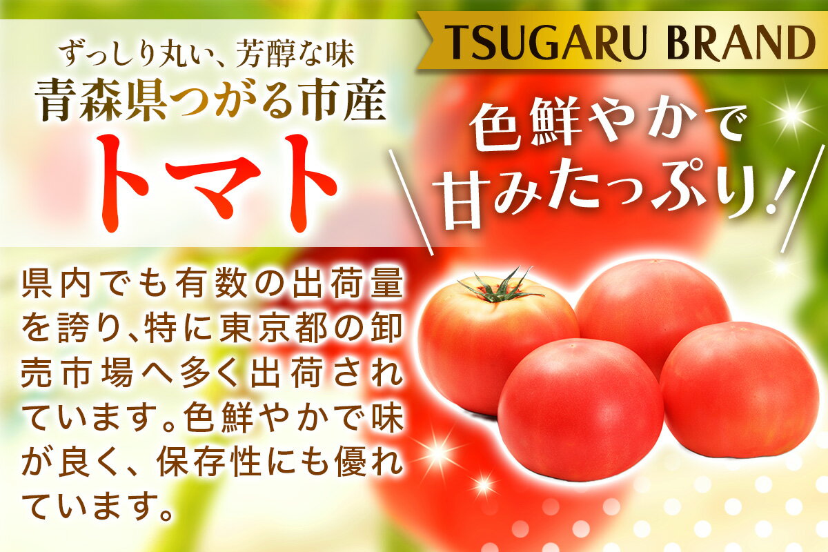 【ふるさと納税】乾燥トマト(エアードライ製法) 100g 青森県 つがる市産｜とまと 野菜 パスタ 具材 [0523] - 画像2