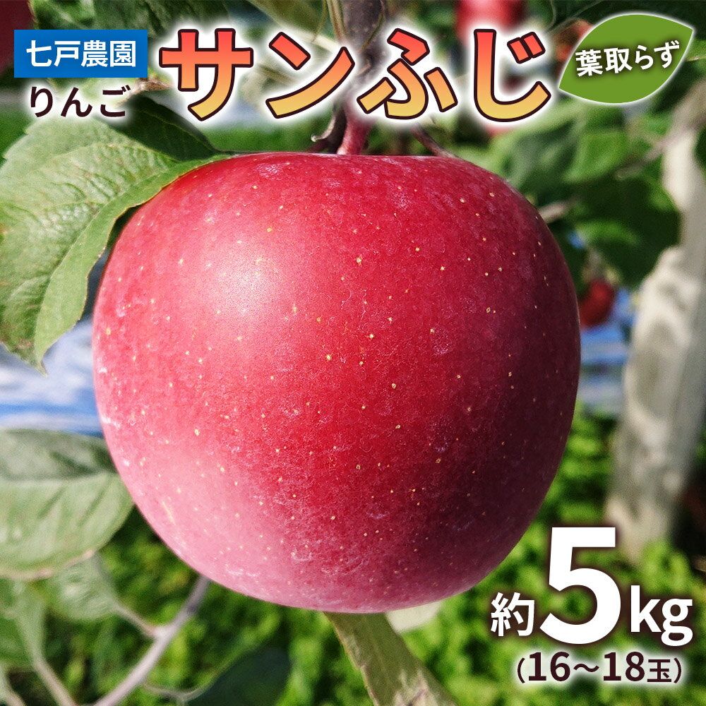 りんご サンふじ 葉取らず 約5kg(16から18玉) 青森産 つがる市【2026年11月下旬より順次発送】｜青森県産 津軽 リンゴ りんご 葉とらず 青森りんご 果物 フルーツ 2026年産 令和8年産 [0831]