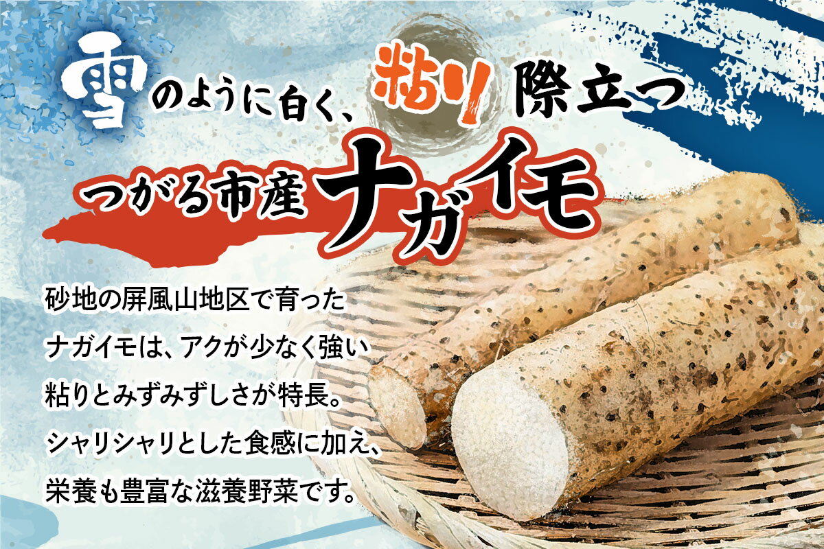 【ふるさと納税】ながいも「もちとろろ」真空パック 15袋 (約3kg)｜青森産 長芋 長いも なが芋 野菜 とろろご飯 小分け [0966] - 画像2