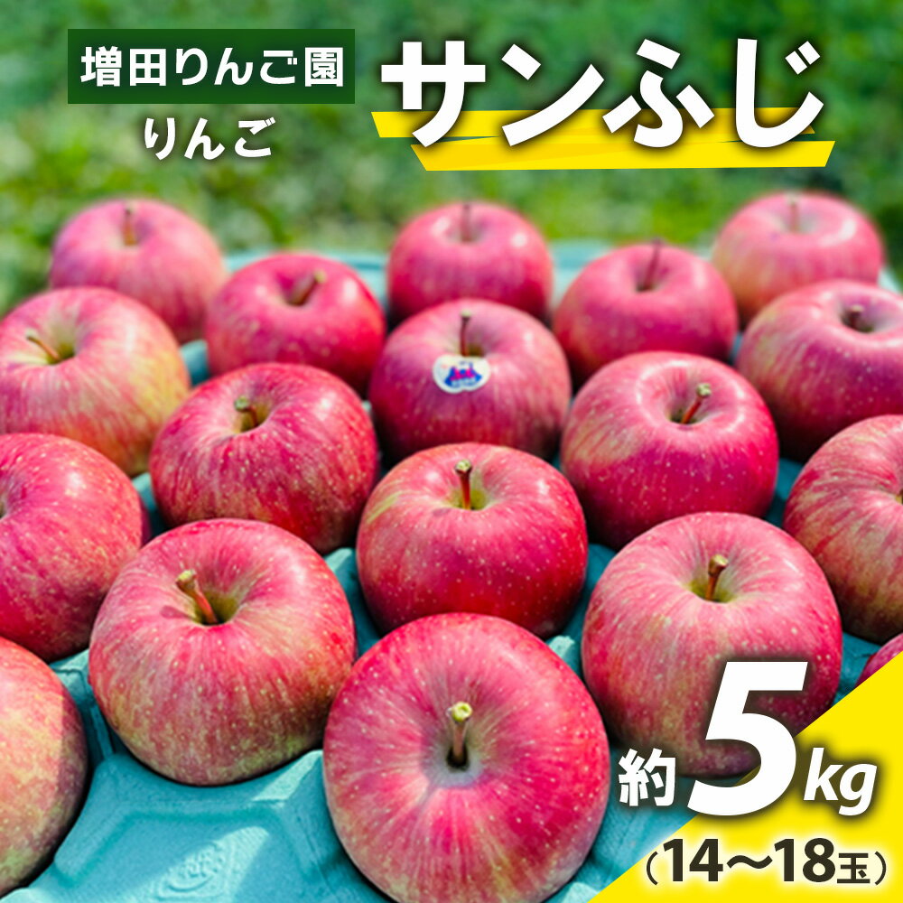 りんご サンふじ 約5kg (14玉から18玉) 青森産 つがる市【2025年11月下旬より順次発送】｜青森県産 津軽 つがる リンゴ 果物 フルーツ 青森 ふじ さんふじ サンフジ 令和7年 2025年 [0612]