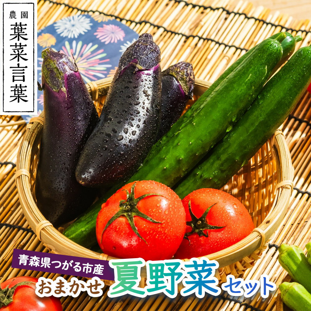 葉菜言葉のおまかせ夏野菜セット 約1kg 令和8年産｜旬の野菜 夏 野菜セット 冷蔵 詰め合わせ 産直 農家直送 新鮮 ギフト サラダ 2026年産 [0636]