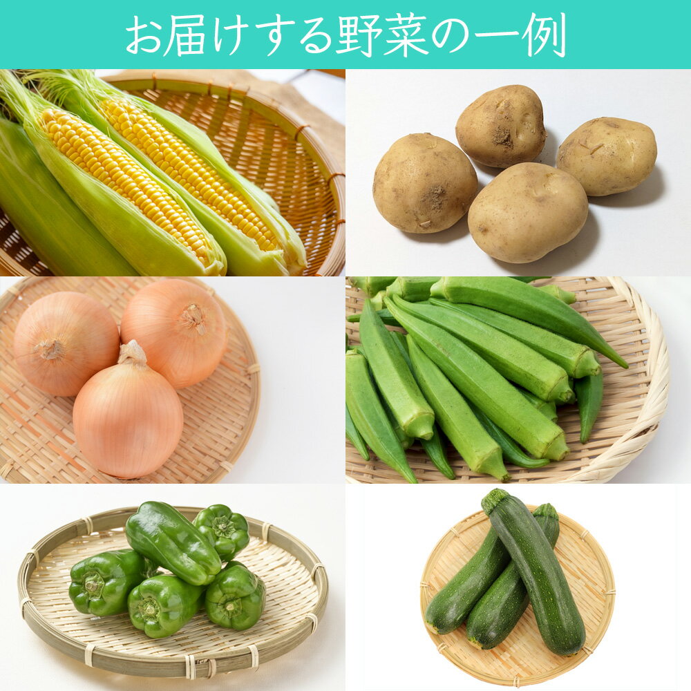 【ふるさと納税】葉菜言葉のおまかせ夏野菜セット 約1kg 令和8年産｜旬の野菜 夏 野菜セット 冷蔵 詰め合わせ 産直 農家直送 新鮮 ギフト サラダ 2026年産 [0636] - 画像2