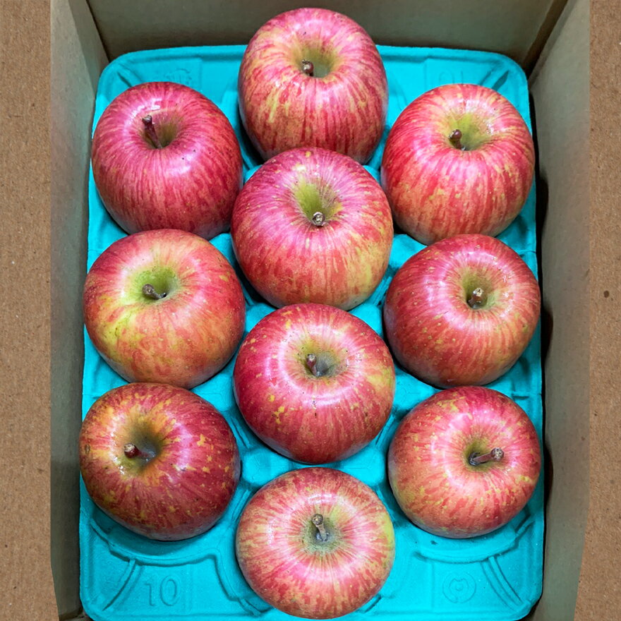 【ふるさと納税】完熟！葉とらずサンふじ 3kg｜青森産 青森りんご りんご リンゴ 林檎 果物 フルーツ さんふじ サンフジ 令和7年 2025年 [0890] サムネイル2