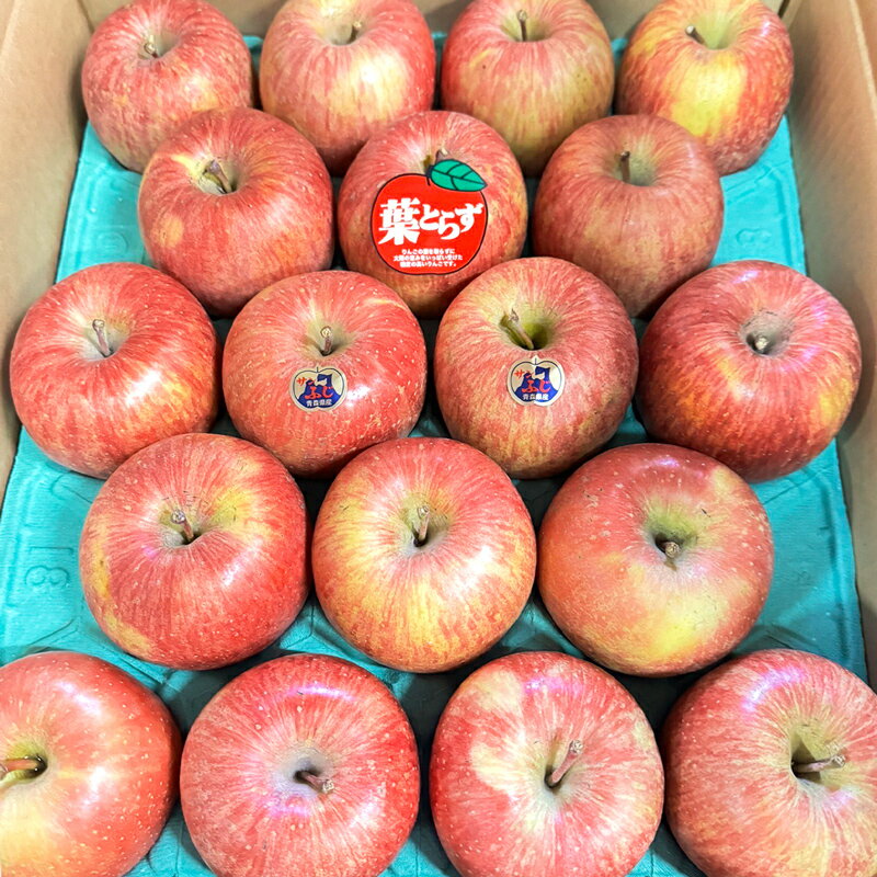 【ふるさと納税】完熟！葉とらずサンふじ 5kg｜青森産 青森りんご りんご リンゴ 林檎 果物 フルーツ さんふじ サンフジ 令和7年 2025年 [0891] サムネイル2