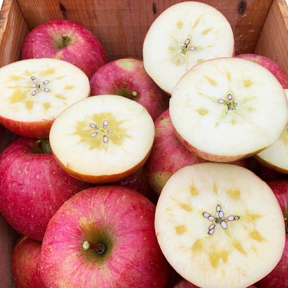 【ふるさと納税】完熟！葉とらずサンふじ 5kg｜青森産 青森りんご りんご リンゴ 林檎 果物 フルーツ さんふじ サンフジ 令和7年 2025年 [0891] サムネイル3