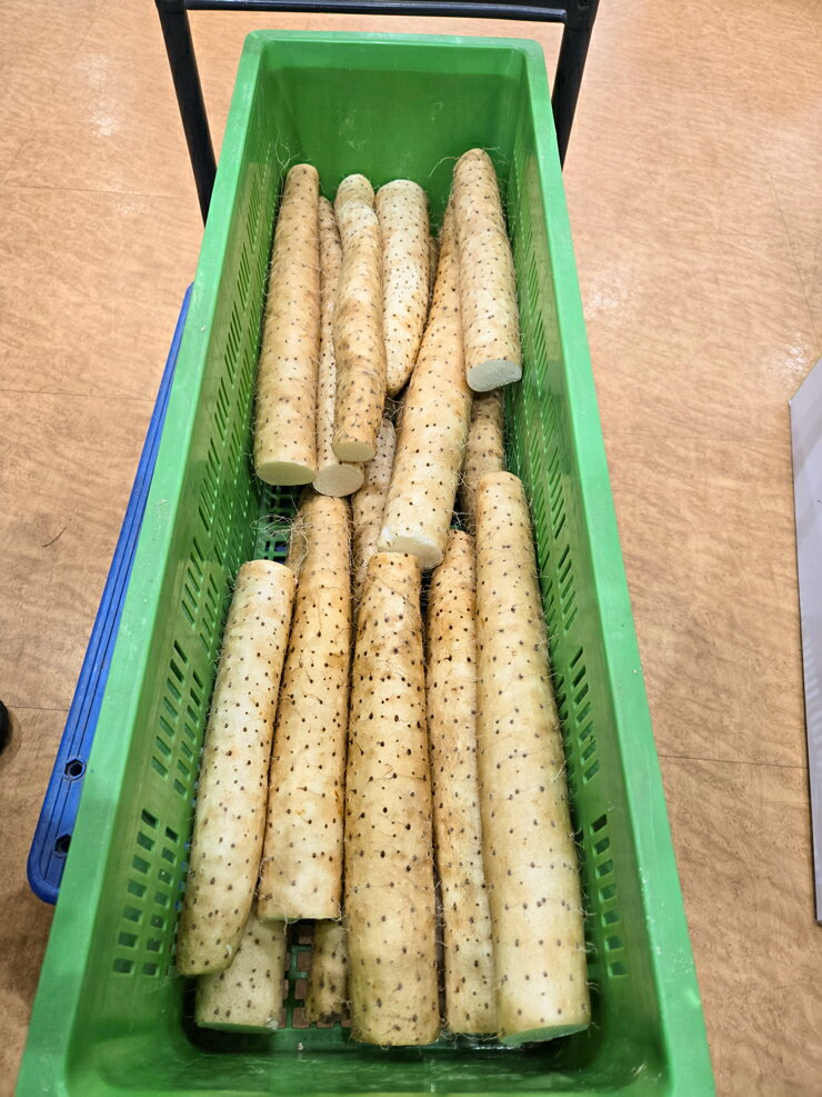 【ふるさと納税】訳あり ながいも 約4kg (洗い)｜長いも 長芋 ナガイモ 山芋 ヤマイモ やまいも 訳アリ とろろ 滋養強壮 青森産 [0943] - 画像3