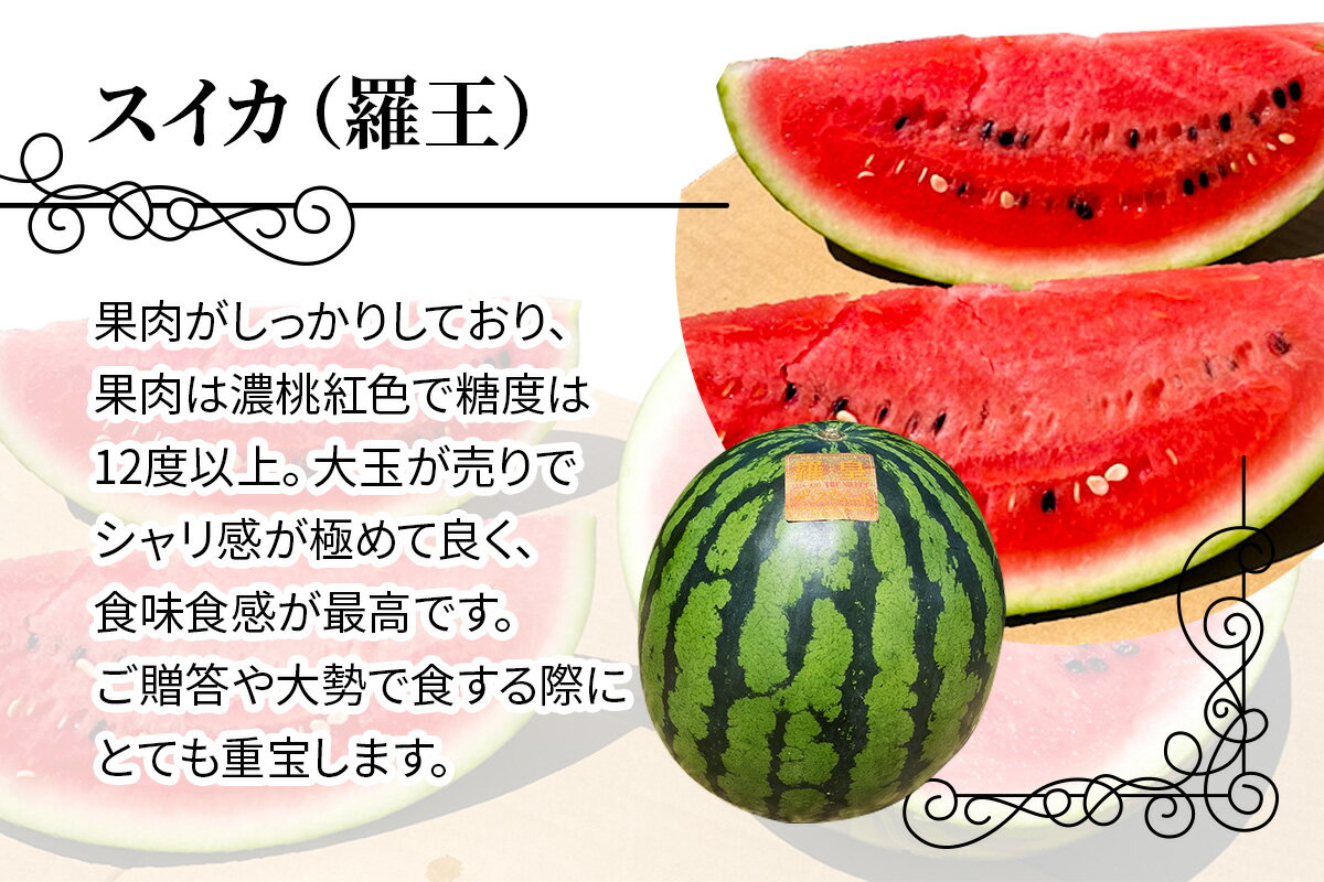 【ふるさと納税】スイカ (特大玉) 羅王 1玉｜つがる市産 青森産 産直 2026年産 令和8年 夏 すいか 西瓜 果物 フルーツ 旬 特産 藤農園 農福連携 ラオウ らおう 羅皇 先行受付 [0835] - 画像2