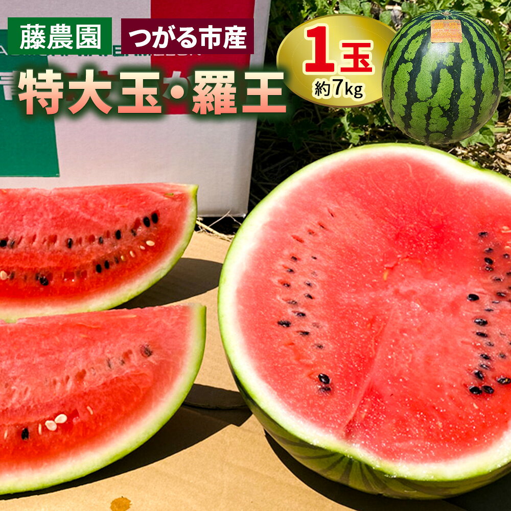 スイカ (特大玉) 羅王 1玉｜つがる市産 青森産 産直 2026年産 令和8年 夏 すいか 西瓜 果物 フルーツ 旬 特産 藤農園 農福連携 ラオウ らおう 羅皇 先行受付 [0835]