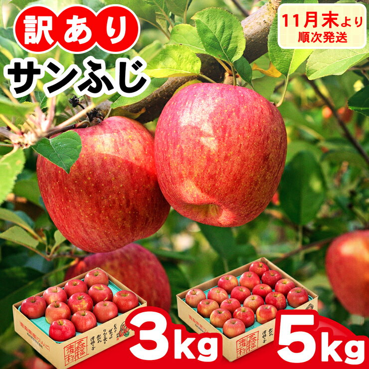 家庭用りんご サンふじ 見た目にわけあり 味はそのまま｜令和7年産 2025年産 青森 津軽 つがる りんご リンゴ 林檎 サンフジ 訳あり 訳アリ 果物 旬 青森りんご [0838-0839]