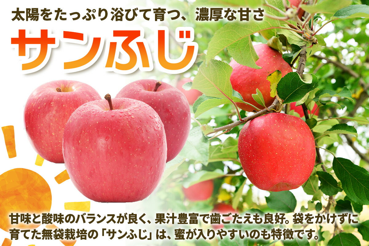 【ふるさと納税】[訳あり] りんご サンふじ｜令和7年産 2025年産 青森 津軽 つがる りんご リンゴ 林檎 サンふじ サンフジ さんふじ 訳あり 訳アリ わけあり ワケアリ 家庭用 果物 フルーツ 旬 青森りんご ふるさと納税 [0838-0839] - 画像3