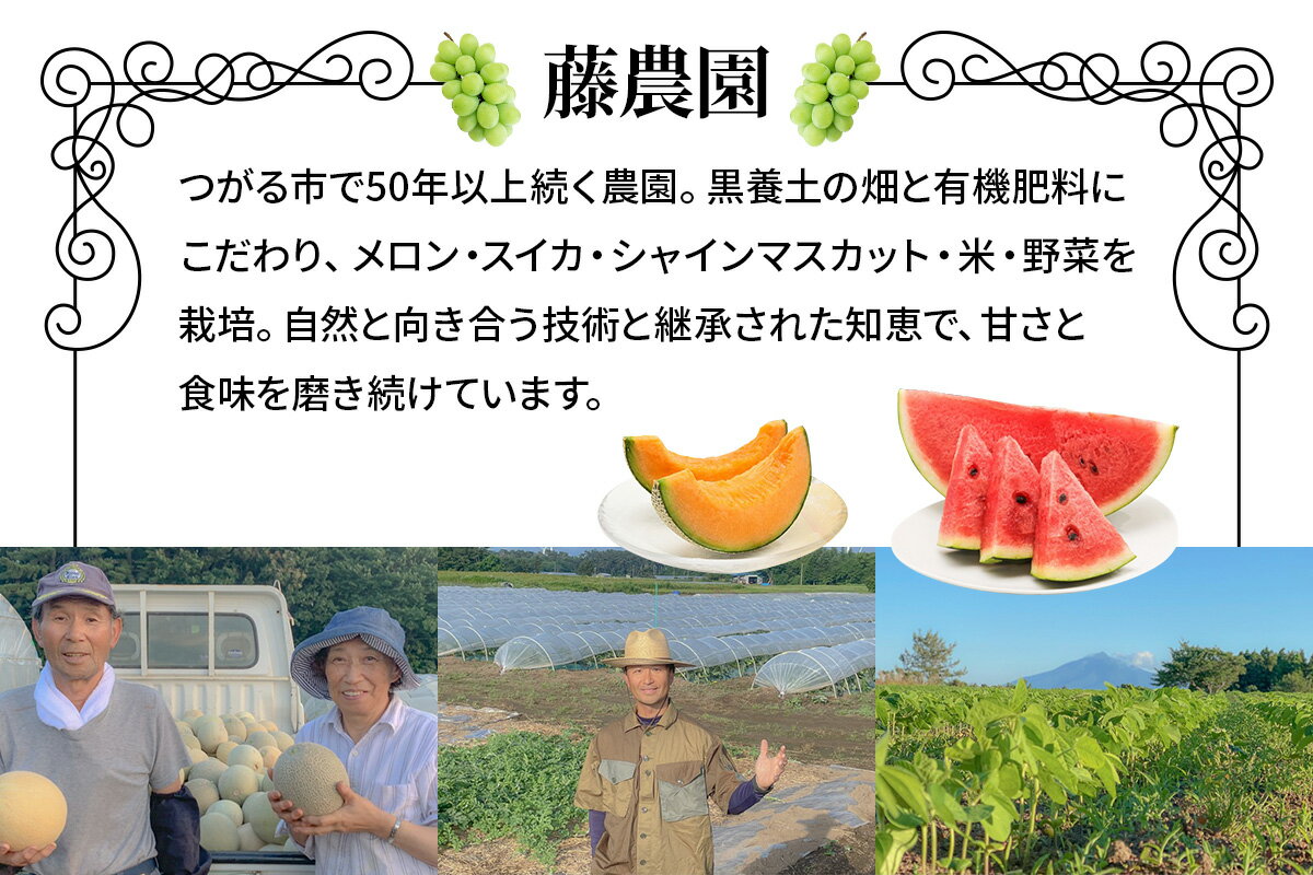 【ふるさと納税】スイカ (特大玉) 羅王 1玉｜つがる市産 青森産 産直 2026年産 令和8年 夏 すいか 西瓜 果物 フルーツ 旬 特産 藤農園 農福連携 ラオウ らおう 羅皇 先行受付 [0835] - 画像3