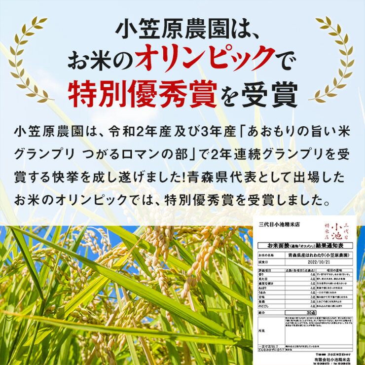 【ふるさと納税】令和7年産 特別栽培米《真空パック はれわたり》精米 (2kg／4kg／10kg)｜2025年 青森県 つがる市産米 つがる 精米 白米 お米 米 こめ 特A [0971-0974] - 画像3