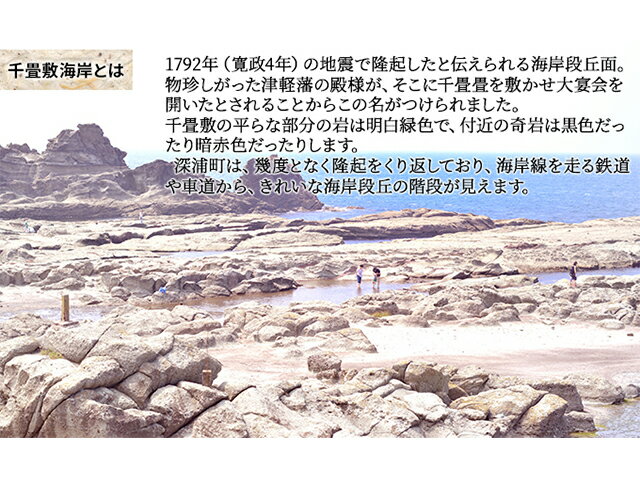 【ふるさと納税】【千畳敷センター】青森県深浦産・無添加だし粉 50g 8本セット【魚粉バカ／だし衛門 各4本 出汁 サムネイル3