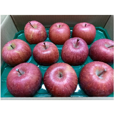 サンふじ 贈答品 約3kg(8～12個)【配送不可地域：離島・沖縄県】【1240456】