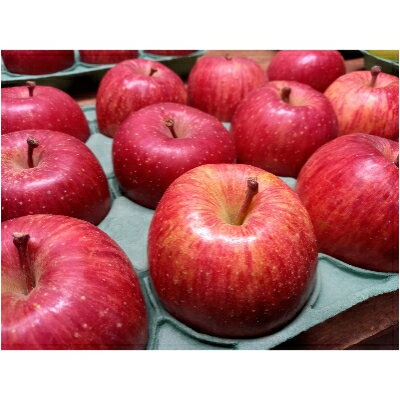 【ふるさと納税】サンふじ 贈答品 約3kg(8～12個)【配送不可地域：離島・沖縄県】【1240456】 サムネイル2