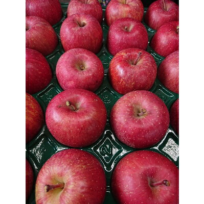 サンふじ 家庭用 約10kg(28～40個)【配送不可地域：離島・沖縄県】【1240458】