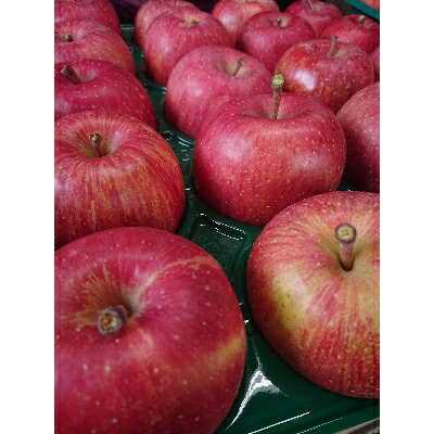 【ふるさと納税】サンふじ 家庭用 約10kg(28～40個)【配送不可地域：離島・沖縄県】【1240458】 サムネイル2