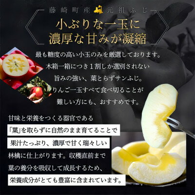 【ふるさと納税】葉とらずサンふじ 厳選 小玉 約3kg ご家庭用りんご(訳あり) 青森県産リンゴ 青森林檎_ りんご リンゴ 林檎 サンふじ 葉とらず 小玉 訳あり 家庭用 青森県産 果物 フルーツ 美味しい 人気 送料無料 【配送不可地域：離島・沖縄県】【1278838】 サムネイル2